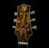 10998044_602192079911641_2111076926228477855_n